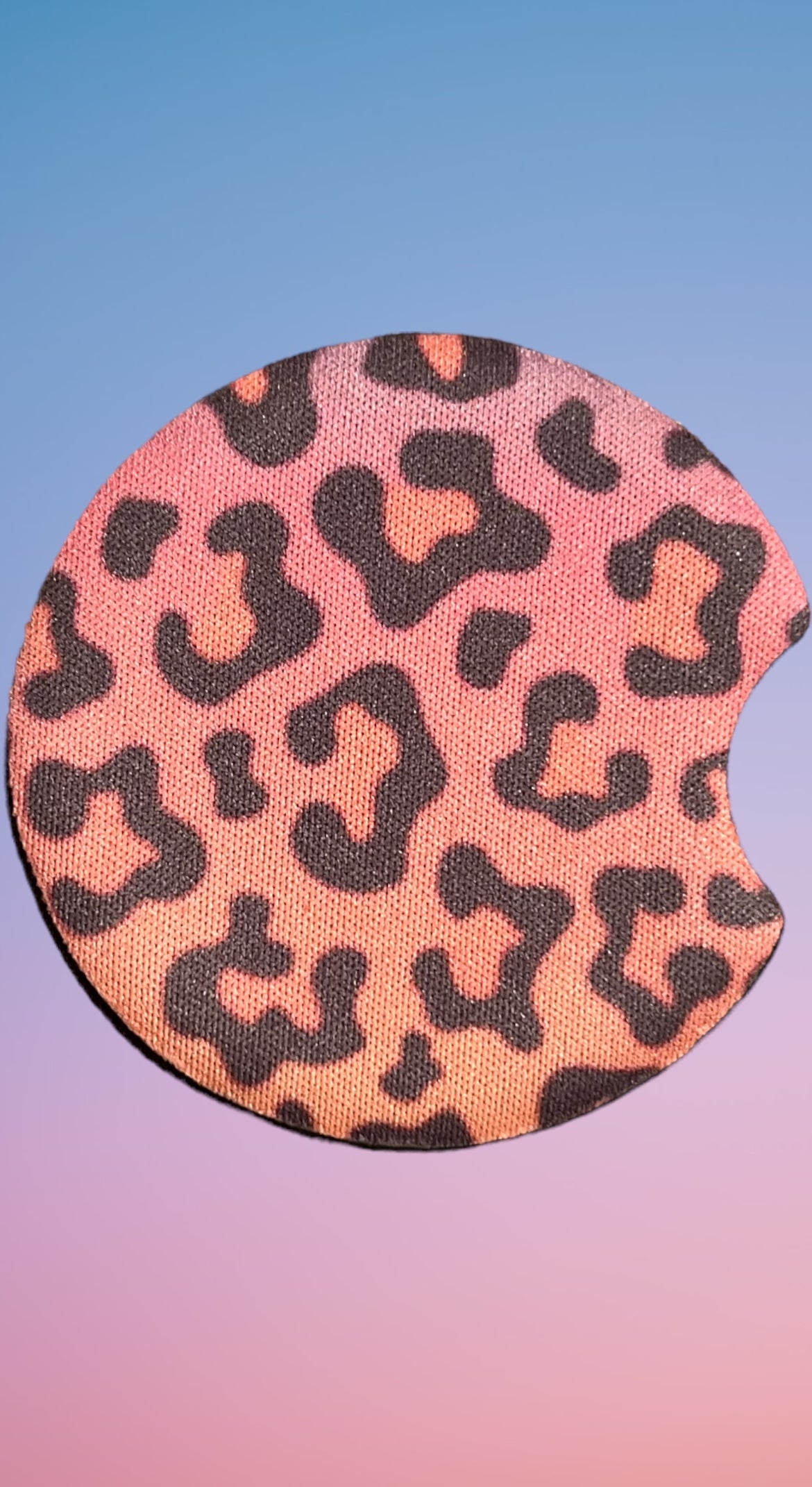 Rainbow Cheetah Car Costers