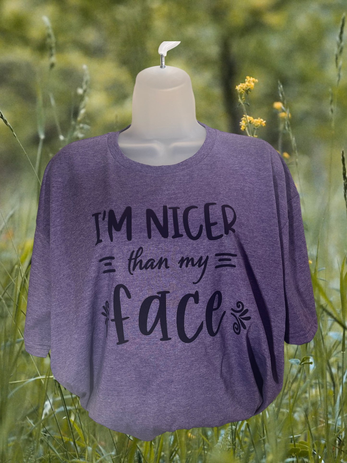 I’m nicer than my face tshirt