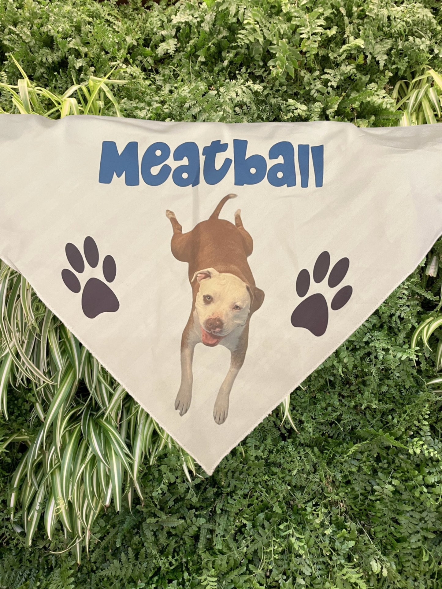 Custom Dog Bandana