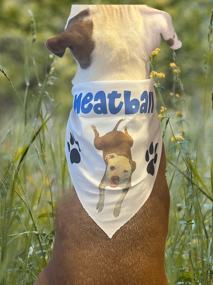 Custom Dog Bandana