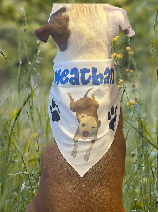 Custom Dog Bandana