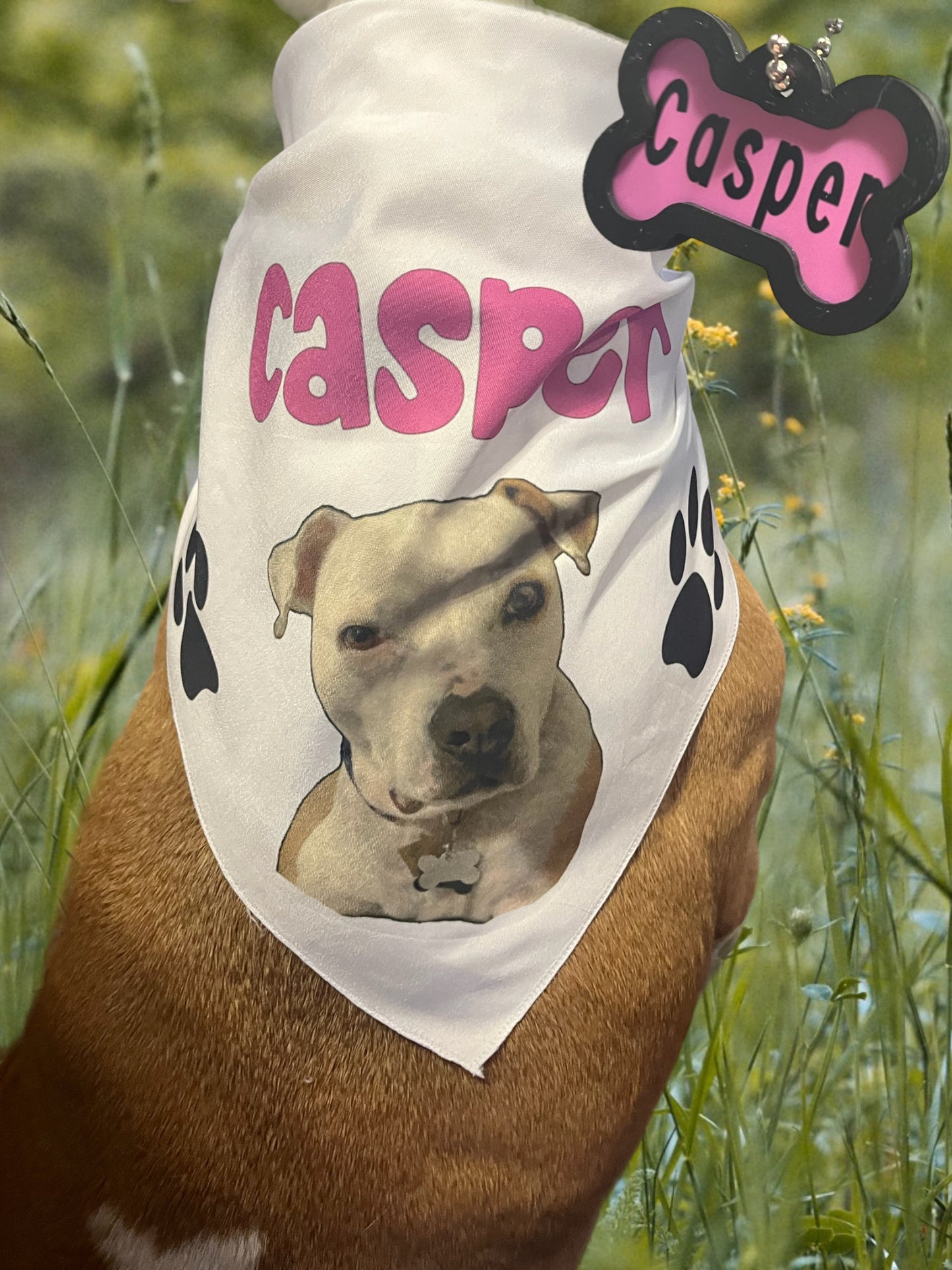 Custom Dog Bandana with Dog Tag