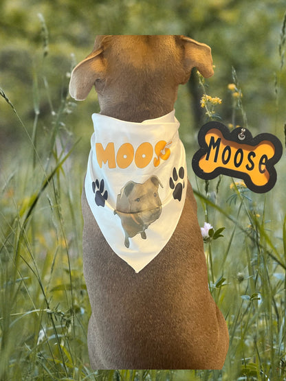 Custom Dog Bandana with Dog Tag