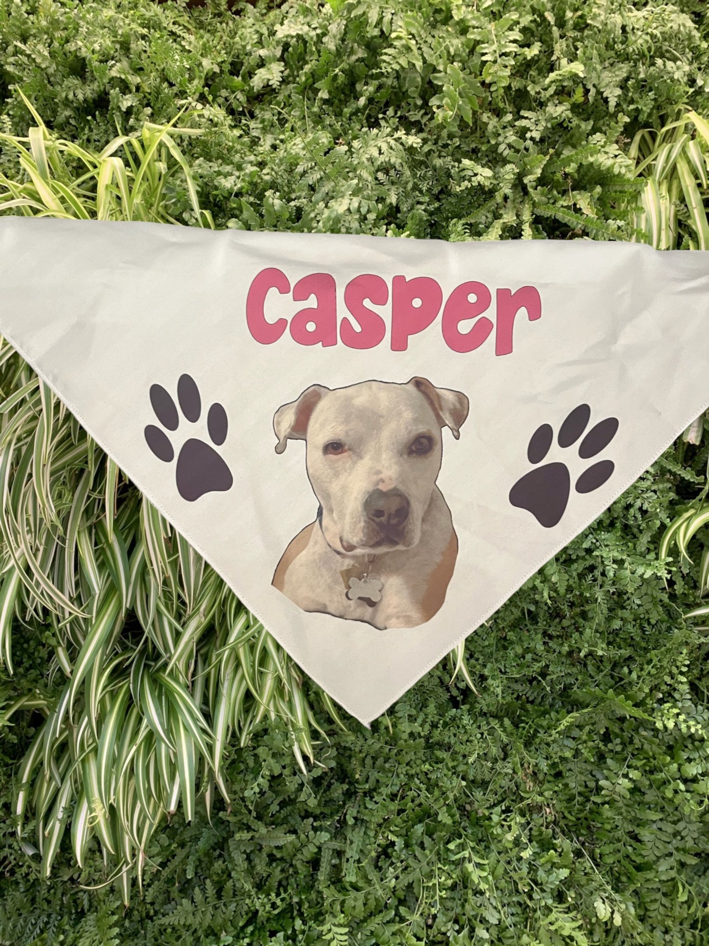 Custom Dog Bandana