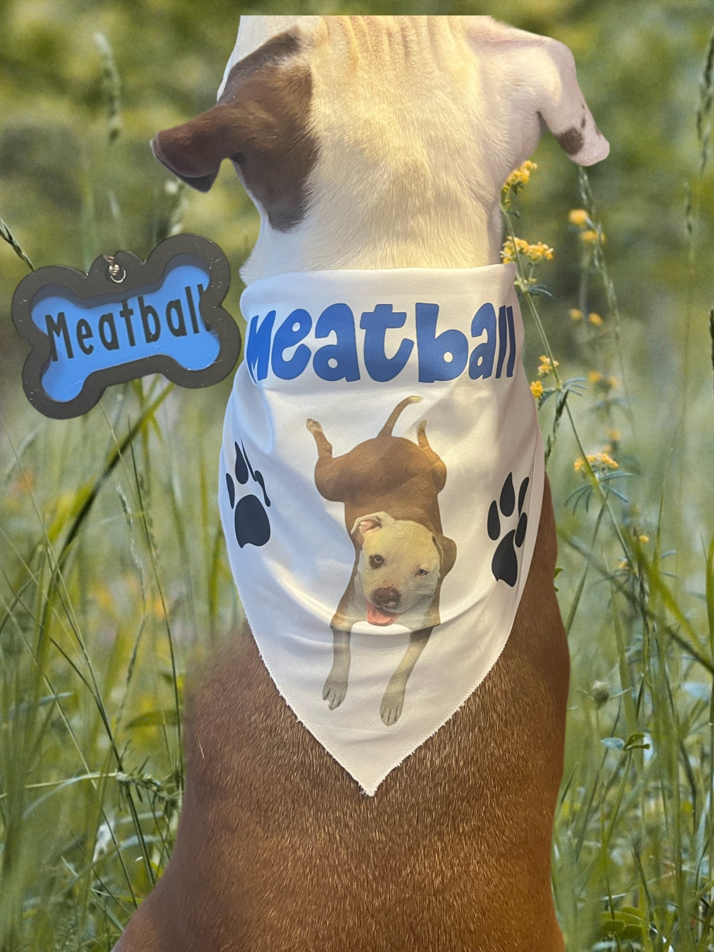 Custom Dog Bandana with Dog Tag